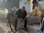 Bing�l'de Hastane Ba�hekiminden E�e�e Pansuman