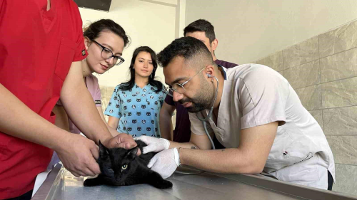 Bingl niversitesi'nde Hayvan Hastanesi Hizmete Ald