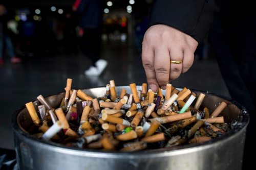 Bir Kez Dahi Sigara enlerin 'Yzde 69'u Kullanc Oluyor'