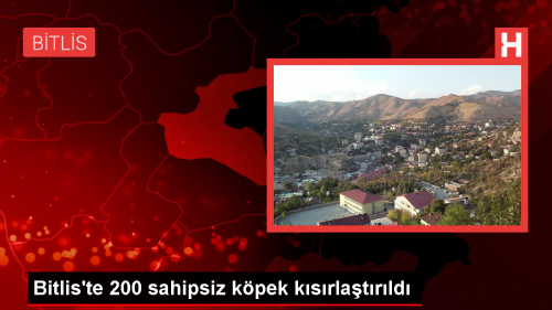 Bitlis'te 200 sahipsiz kpek ksrlatrld