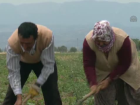 Böbrek Nakli Tarla İşlerinden Alıkoymadı