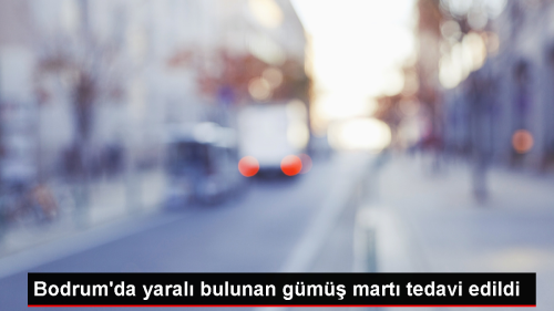 Bodrum'da Yaral Gm Mart Tedavi Edildi