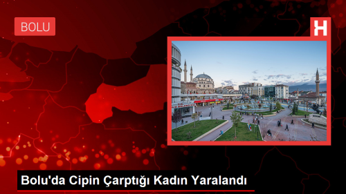 Bolu'da Cipin arpt Kadn Yaraland