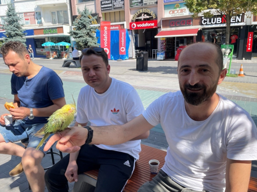 Bolu'da Salk Teknikeri, Arkadann smini Verdii Papaanyla Vakit Geiriyor
