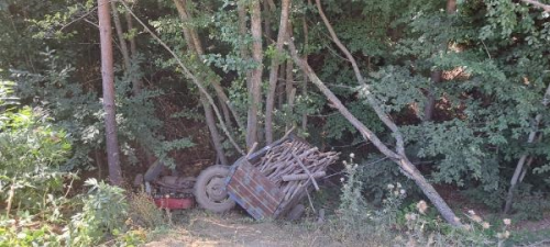 Bolu'da Uuruma Yuvarlanan Traktrn Altnda Kalan Kbrs Gazisi Yaamn Yitirdi