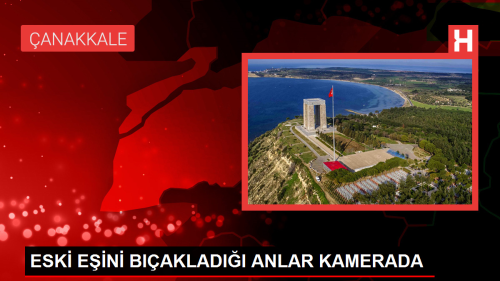 Bozcaada'da eski ee bakl saldr