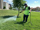 Boz�y�k Belediyesi, Ha�ere �la�lamalar�na Kene M�cadelesini de Ekledi