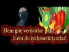 Bu Besinler Hem Enerji Veriyor Hem de Mutlu Ediyor