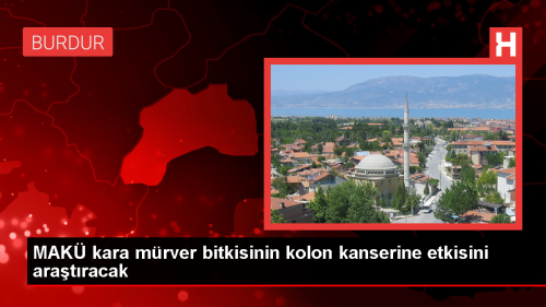 Burdur Mehmet Akif Ersoy niversitesi'nden Kara Mrver Bitkisi ve Kolon Kanseri Aratrmas