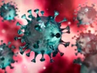 Bursa'da SARS COV-2'ye kar�� nano-sol�syon �al��mas�