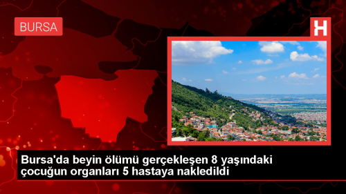 Bursa'da trafik kazasnda beyin lm gerekleen ocuun organlar 5 ocua umut oldu