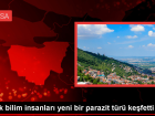Bursa'da Yeni Bir Parazit T�r� Ke�fedildi