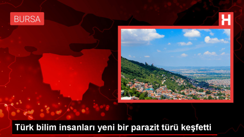 Bursa'da Yeni Bir Parazit Tr Kefedildi