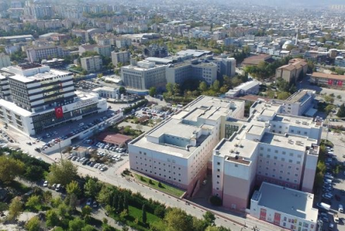 Bursa Yksek htisas Eitim ve Aratrma Hastanesi'nde Canldan Canlya Organ Nakli Yapld