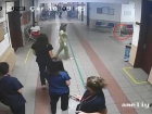 BU� Veteriner Fak�ltesi Hayvan Hastanesi'nde Sokak Kedisi Ameliyat Edildi