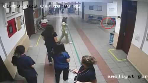 BU Veteriner Fakltesi Hayvan Hastanesi'nde Sokak Kedisi Ameliyat Edildi