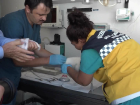 B�y�k�ekmece Belediyesi Sokak Hayvanlar�na Ambulans Hizmeti Sunuyor