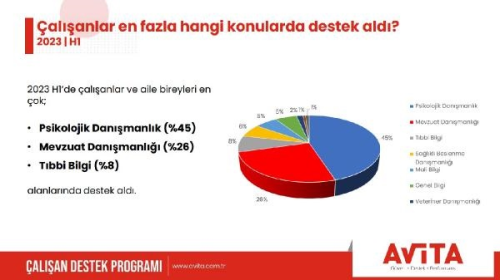 alanlarn En ok Tercih Ettii Hizmet Psikolojik Danmanlk