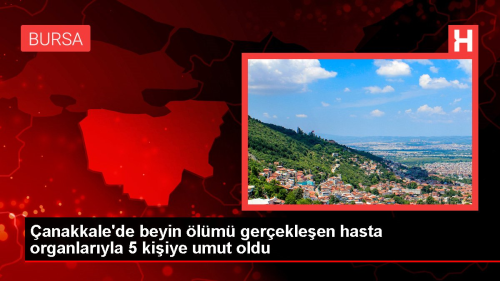 anakkale'de beyin lm gerekleen hasta organlaryla 5 kiiye umut oldu