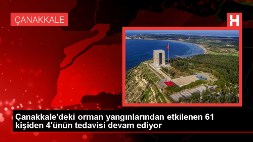 anakkale'deki orman yangnndan etkilenen 61 kiiden 4'nn tedavisi sryor