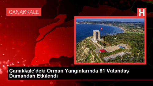 anakkale'deki Orman Yangnlarnda 81 Vatanda Dumandan Etkilendi