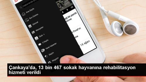 ankaya Belediyesi Sahipsiz Sokak Hayvanlar Geici Bakmevi ve Rehabilitasyon Merkezi Yln lk Alt Aynda 13 Bin 467 Hayvana Tedavi Uygulad