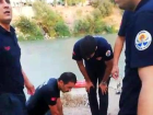 Ceyhan Nehri'nde Ak�nt�ya Kap�lan Ki�i �tfaiye Taraf�ndan Kurtar�ld�