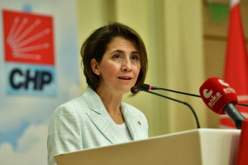 CHP Genel Bakan Yardmcs Aylin Yaman: Engelli raporlar engelliler iin hak kayplarna neden oluyor