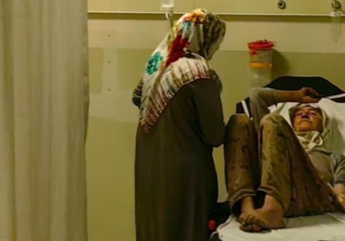 ilek toplarken ylan srld, hastaneye kaldrld