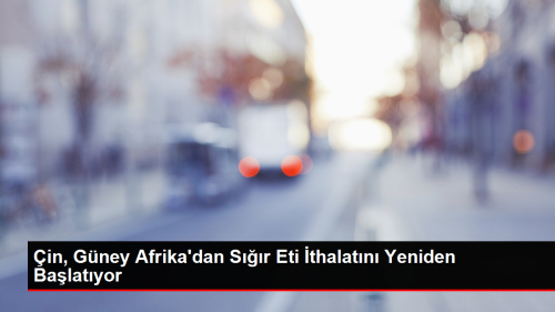 in, Gney Afrika'dan Sr Eti thalatn Yeniden Balatyor