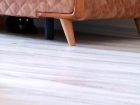 �orlu'da Hasta Olabilece�i D���n�len Kedi Ev Sahibine ve Belediye Ekiplerine Sald�rd�