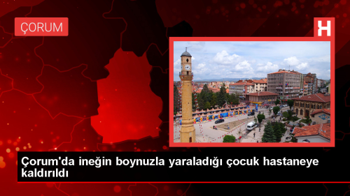orum'da nein Boynuz Darbesi Sonucu Yaralanan 8 Yandaki ocuk Hastanede Tedavi Altna Alnd