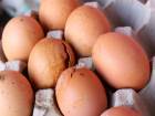 ��r�k Yumurta Gaz�n�n Faydas� Ke�fedildi