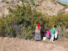 Daldan kavanoza ku�burnunun hikayesi