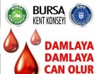 Damlaya Damlaya Can Olur