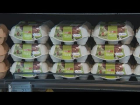 Danimarka'da 20 Ton Fipronilli Yumurta Tespit Edildi