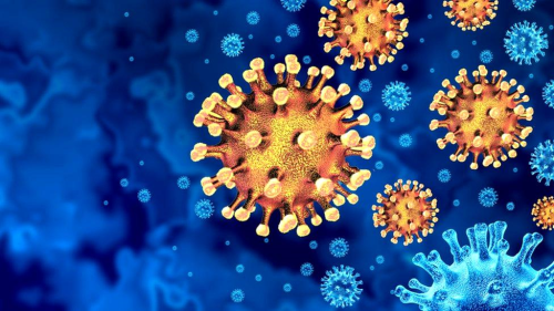 Deltacron: Yeni koronavirs varyant hakknda ne biliyoruz ve WHO neden 'kayglanmayn' diyor?