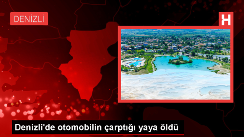 Denizli'de Otomobilin arpt Yaya Hayatn Kaybetti