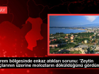 Deprem b�lgesinde enkaz at�klar� sorunu: 'Zeytin a�a�lar�n�n �zerine molozlar�n d�k�ld���n� g�rd�m'