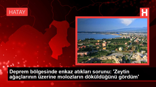 Deprem blgesinde enkaz atklar sorunu: 'Zeytin aalarnn zerine molozlarn dkldn grdm'