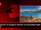 Depresyon ve kayg� kansere neden olmaz
