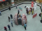 Dev Ci�er Maketiyle Fark�ndal�k Olu�turuyorlar