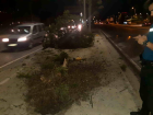 Direksiyon hakimiyetini kaybeden s�r�c� kaza yapt�