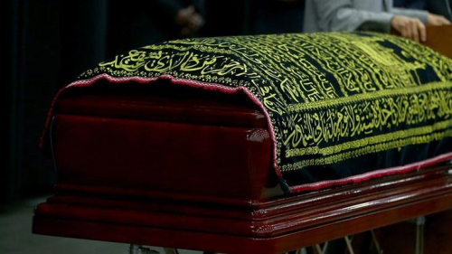 Direkt sinir sistemini hedef alyor! Sivrisinekler, Trkiye'nin yan ba Yunanistan'da 11 kiiyi ldrd