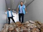 Diyarbak�r'da Faturas�z Et ve Sakatat Ele Ge�irildi