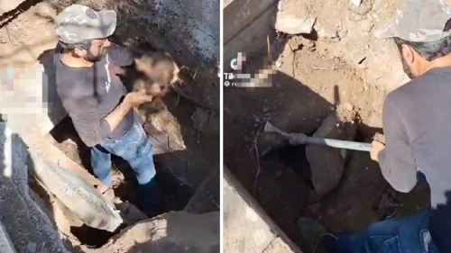 Diyarbakr'da mezar ama ilemi yapan grevlinin sosyal medya paylamlar tepki ekti