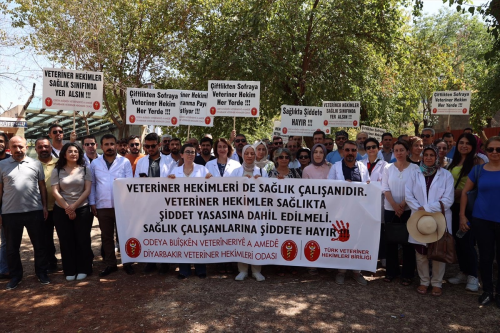 Diyarbakr'da Veteriner Hekimler iddet Olaylarna Dikkat ekmek in Klinik Kapatma Eylemi Yapt
