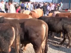 Diyetisyen Gamze S�ylemez: Kurban Bayram�'nda et t�ketiminde �l��l� olun