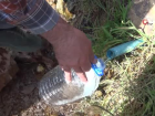 Do�al maden suyuna b�y�k ilgi: Vatanda�lar �ifa niyetine t�ketiyor