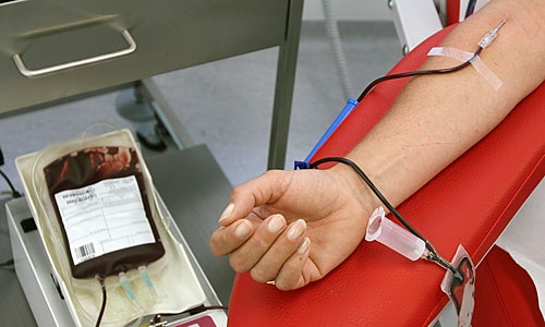 Doğankent'te Kan Bağışı Kampanyası Düzenlendi